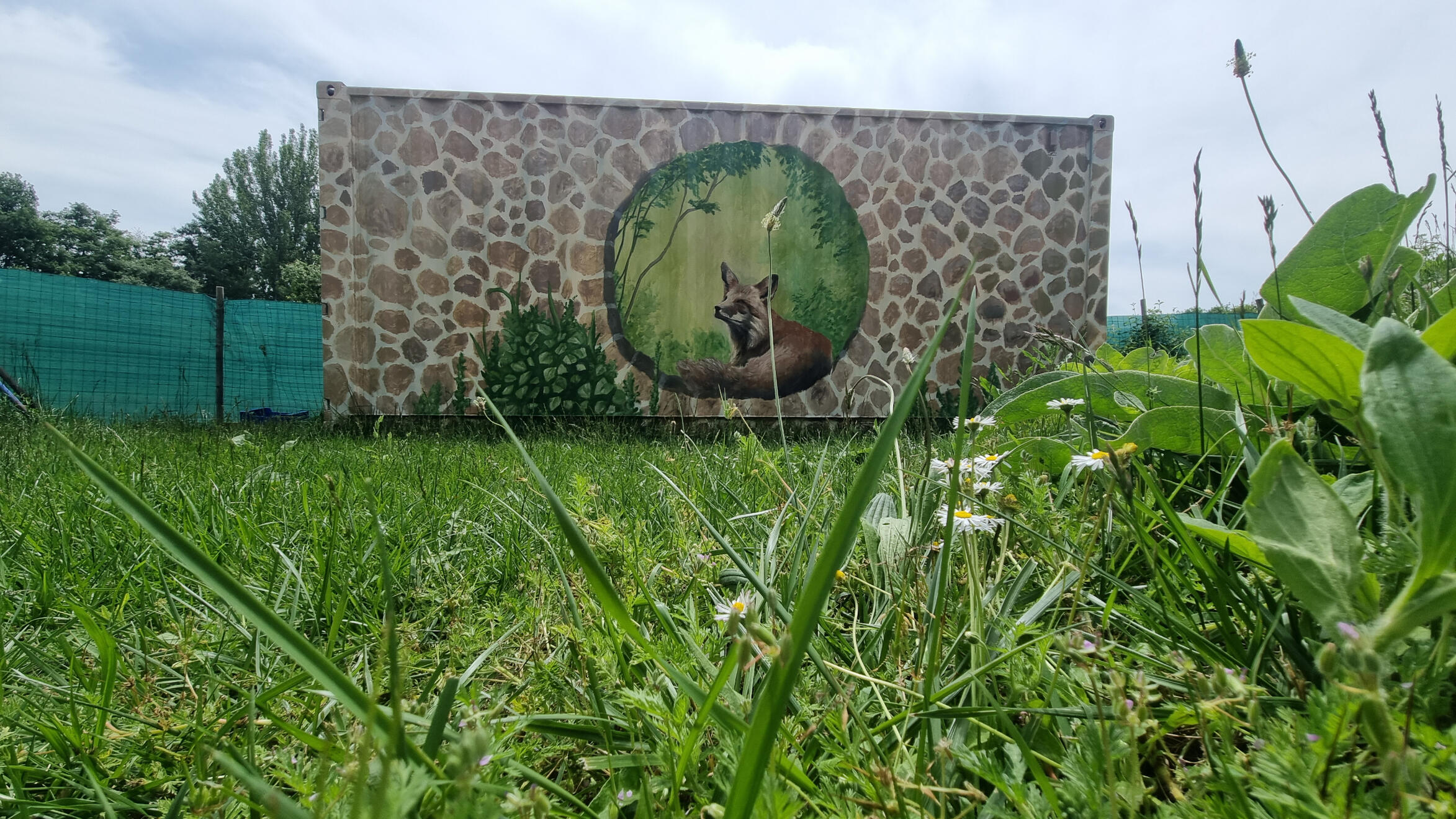 Raposo (Valhermosa de Valdivielso)