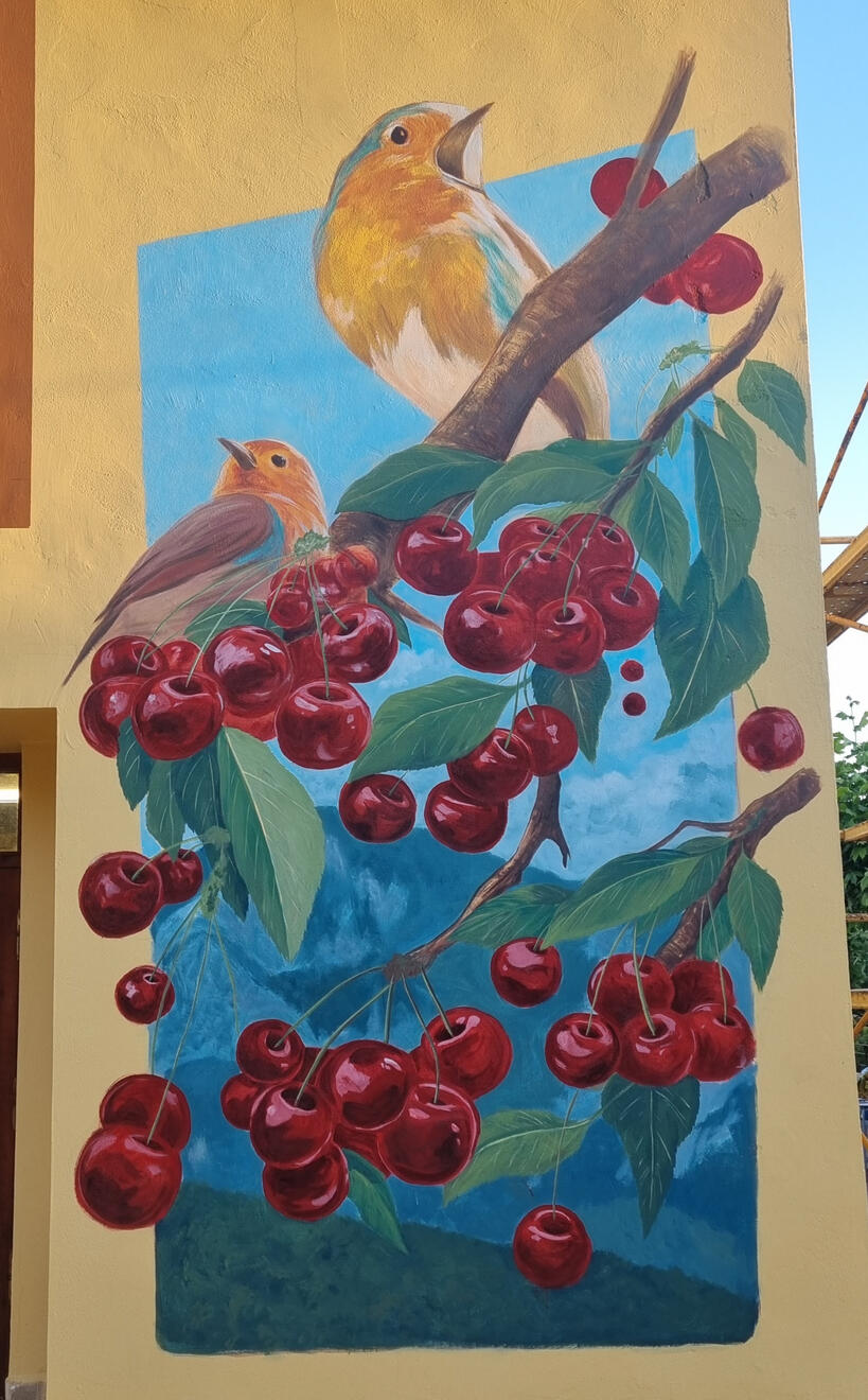 Primavera de Las Estaciones del Valle (Valhermosa)