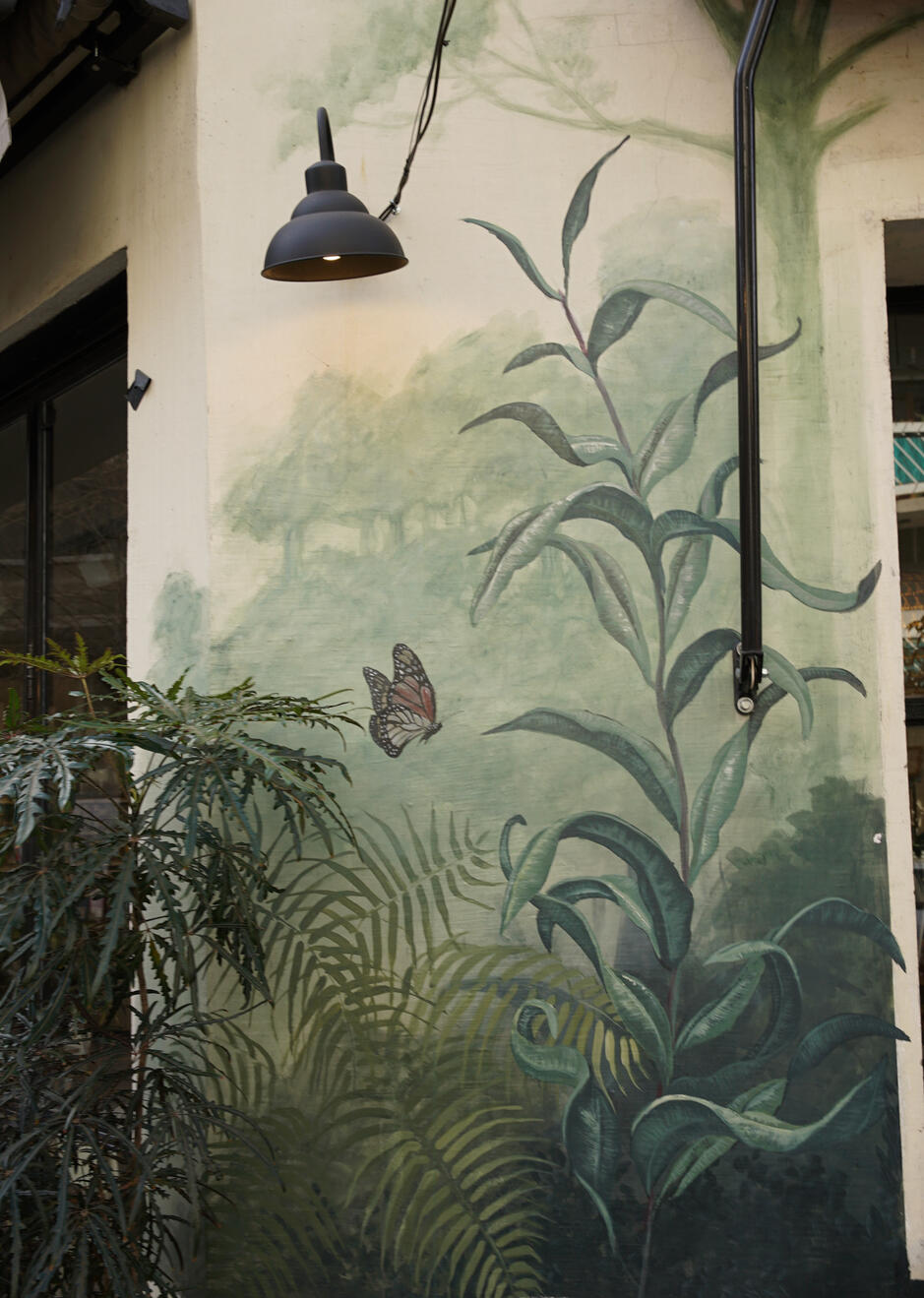 Mariposa de Chicama (Buenos Aires)